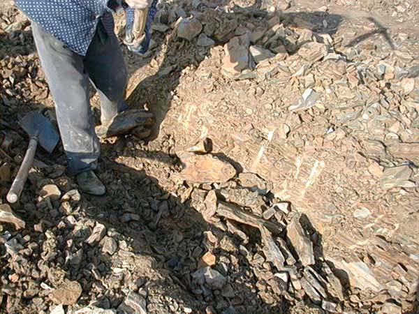 圖為礦工以人工挖取“黃石黃”之實況；石黃是嫩泥礦的附生物，因產量稀少，故須以人工挖掘挑出。(攝於2001年1月12日趙庄山)